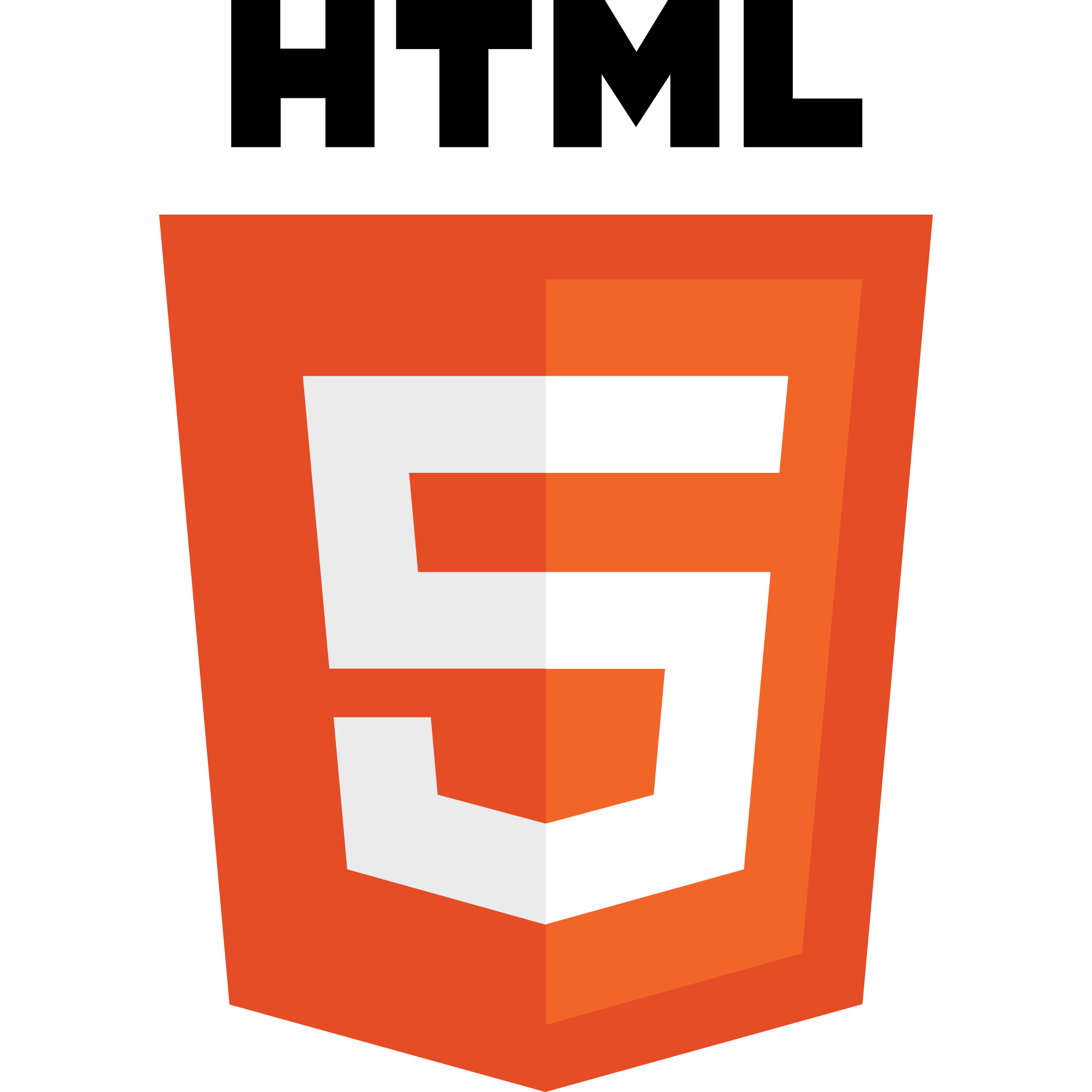 Icon for Html 5 results